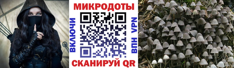 нарко площадка формула  Тихорецк  Галлюциногенные грибы Psilocybe 