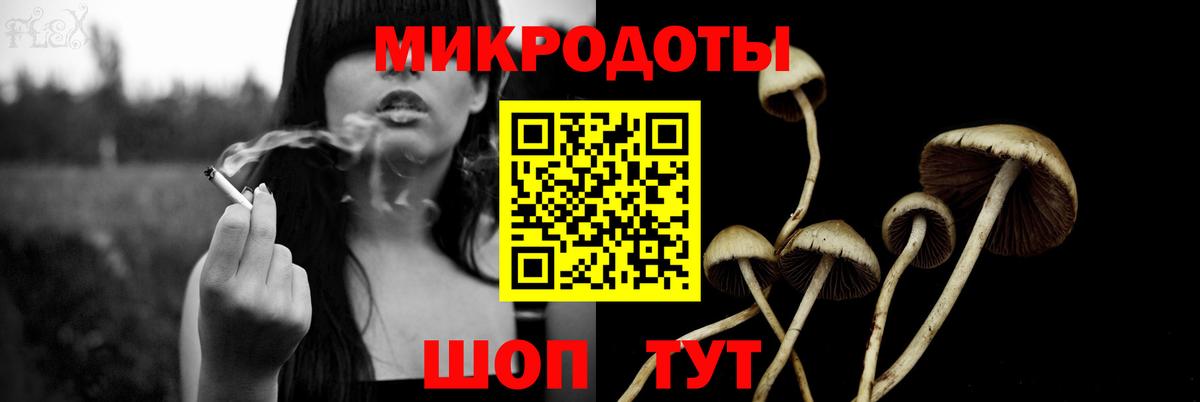 Тихорецк  Псилоцибиновые грибы Cubensis  наркота  Вход с VPN 